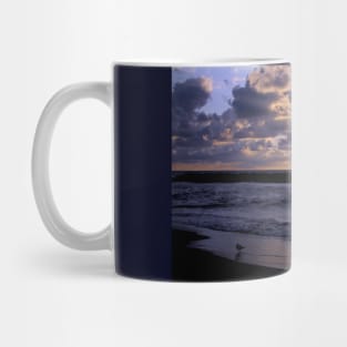 Seagull at lakeshore Mug